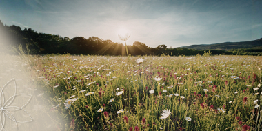 A Thousand Points of Light—and the Hard Truth About Healthcare Innovation